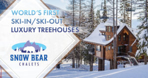Snow Bear Chalets Luxury Treehouses Banner